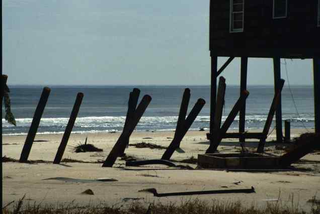 Pawleys Island (Wes Tyler)